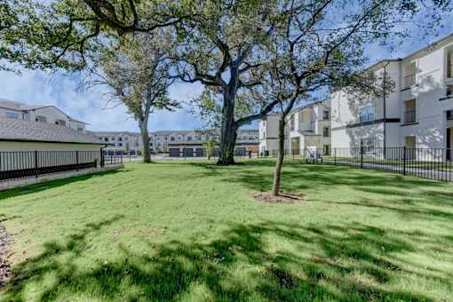 A tree in a grassy area in front of apartment buildings.