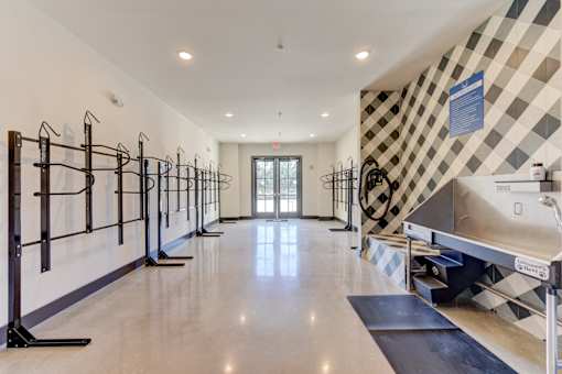 A spacious room with a checkered wallpaper and a row of pilates reformers on the left side.
