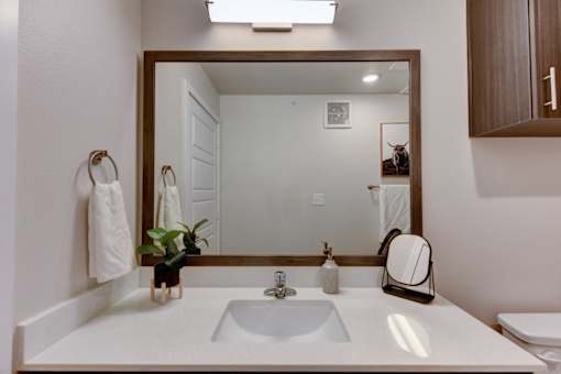 A bathroom with a white countertop and a large mirror.