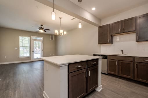Kitchen & Living Room (Luxury Floor Plan) at Emerald Creek Apartments, Greenville