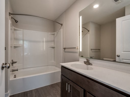 Bathroom (Luxury Floor Plan) at Emerald Creek Apartments, Greenville