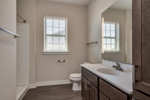 Bathroom (Prestige Floor Plan) at Emerald Creek Apartments, Greenville
