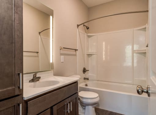 Bathroom (Premier Floor Plan) at Emerald Creek Apartments, Greenville