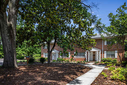 A tree in front of a brick building.