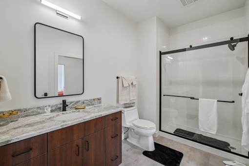 Bathroom with glass separated shower at Lafayette West Apartments, Michigan, 48207