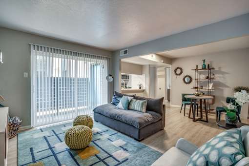 A living room with a grey couch and a blue rug.