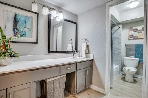 A bathroom with a large mirror and a potted plant on the counter.