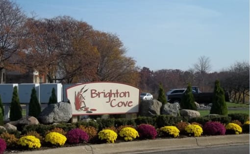 Brown and tan Brighton Cove monument sign  sign. Landscaped with red and yellow mums. The trees behind the sign have turned to red, yellow, and orange fall colors.