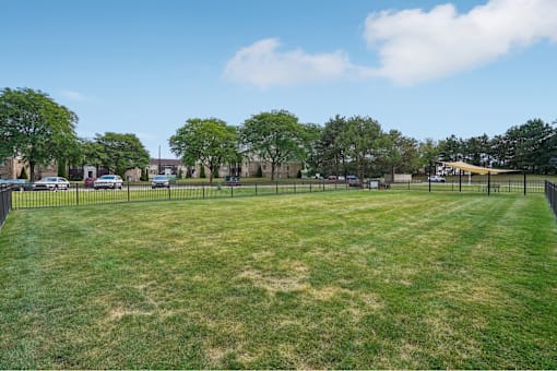 A large grassy field with trees and a fence in the background.