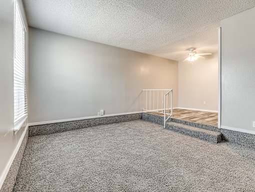 A room with a grey carpet and a white wall.