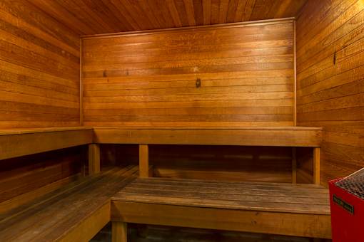 A wooden sauna with benches and a door.