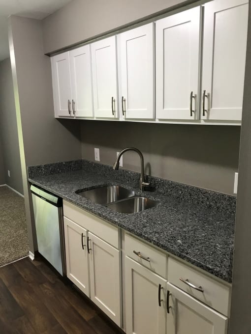 Grey walls with white cabinetry on top and grey countertops.  White cabinetry on the bottom and stainless steel dishwasher at the far end.  Stainless steel sink with steel fixture along with dark hardwood-like flooring.