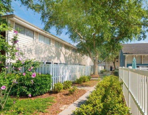 Exterior of buildings with a beautifully landscaped walkway.
