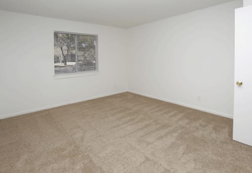 Bedroom area with carpeting and window