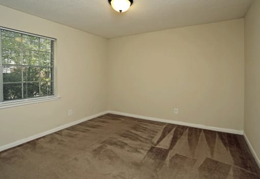 Bedroom with plush carpeting and window