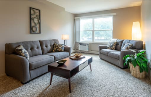 A living room with a grey couch, a coffee table, and a plant.