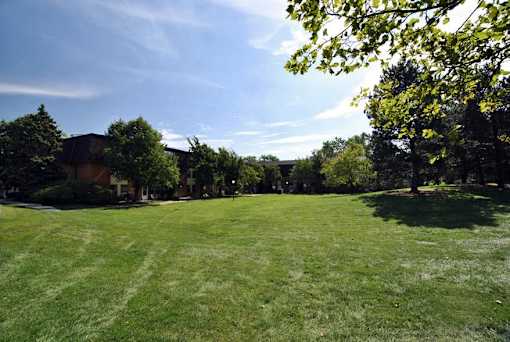 A large grassy field with trees and a building in the background.