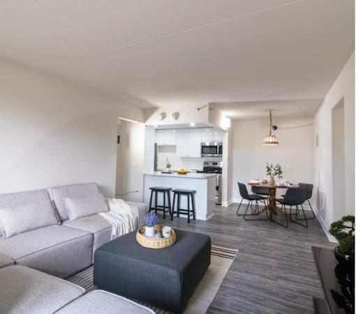 A living room with a grey couch and a black ottoman.