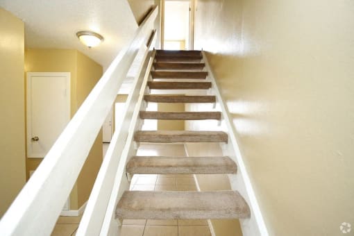 Carpeted stairs.