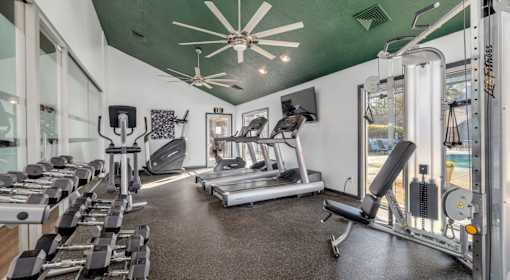 A gym with treadmills, weights, and exercise equipment.