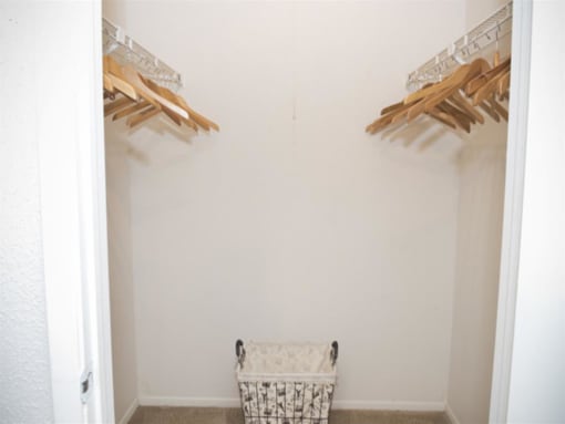 Walk-in closets with shelving