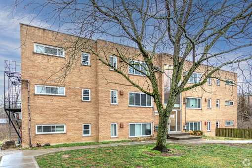 A tree in front of a brick building with a metal staircase on the left.