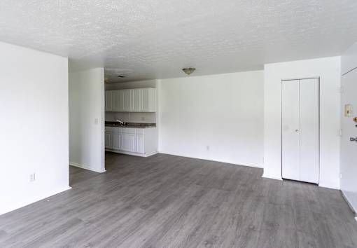 A room with a kitchen in the background and a grey floor.