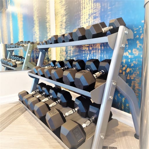 Gym Weights