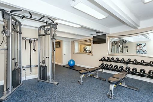Gym 3