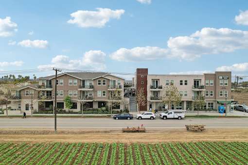 Apartment complex with a parking lot in front and a field of crops in the foreground.