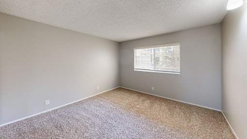 A room with a carpeted floor and a window with blinds.