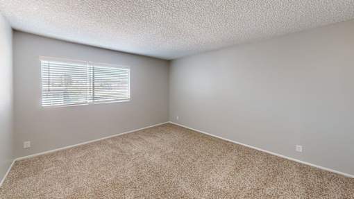 A room with a carpeted floor and a window with blinds.