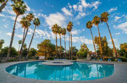 a pool with palm trees in the background
