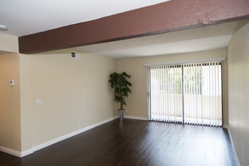 living room with plant and entrance to balcony