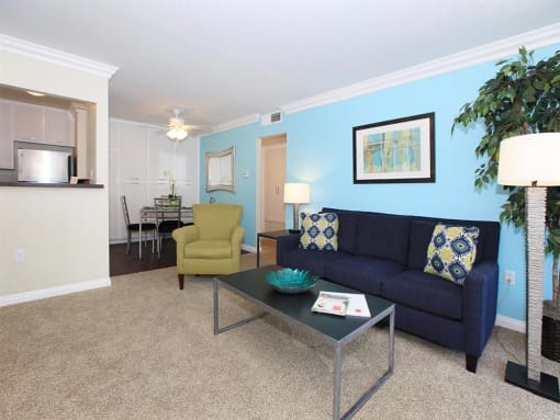 LIving room furniture with blue accent wall