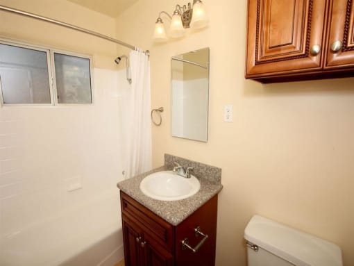 Bathroom sink