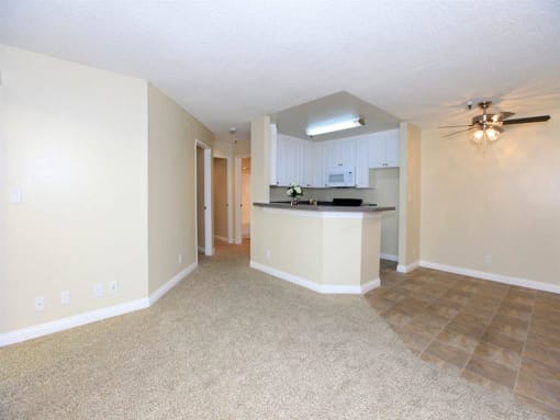 Common area with kitchen in the middle