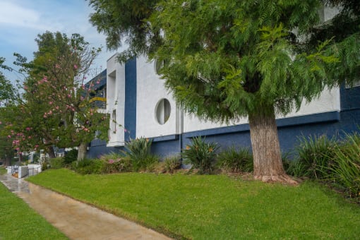 a sidewalk lined with trees and grass in front of a blue and white building