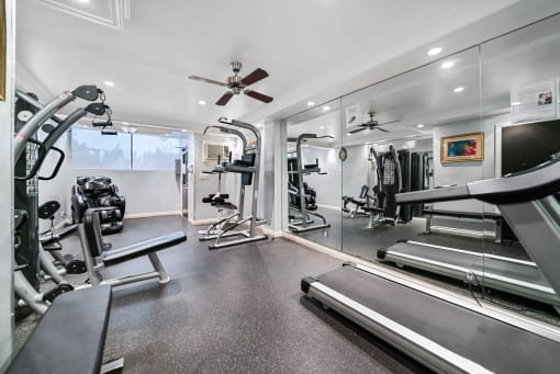 Gym with tredmill