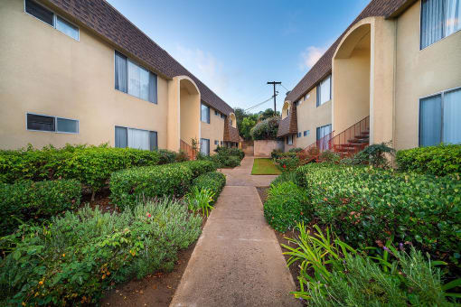 the walkway between the units is lined with plants and bushes