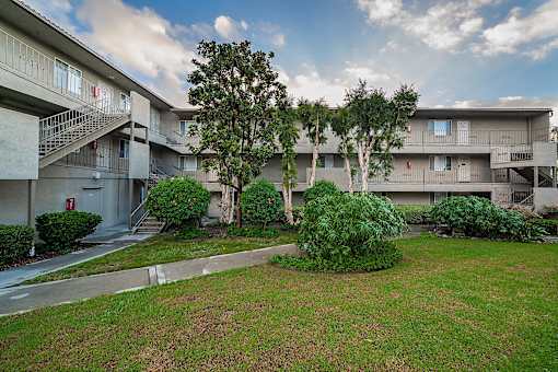 A tree in a grassy area in front of apartment buildings.