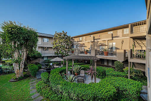 A courtyard with a tree, a bench, and a table surrounded by buildings.