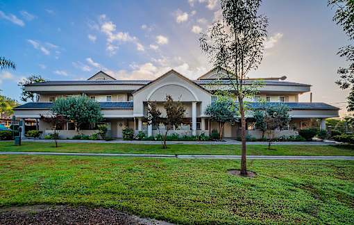 A large house with a tree in front.
