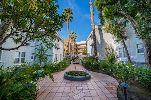 A garden pathway with a circular flower bed in the middle.