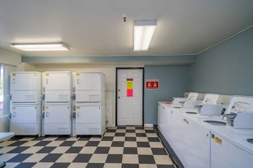 A clean, well-organized laundry room with a black and white checkered floor.