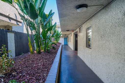 a long hallway with plants on the side of a building