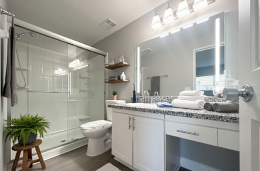 A bathroom with a glass shower stall, a toilet, a sink, and a mirror.
