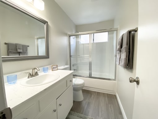 a bathroom with a sink and a shower and a toilet