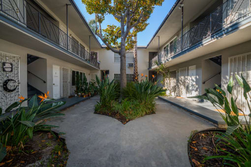 a view of the courtyard at Isles of Charm