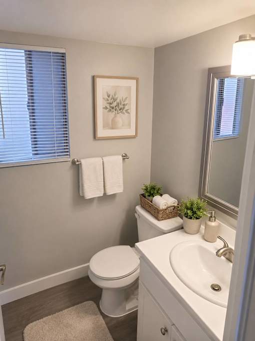A bathroom with a toilet, sink, and mirror.